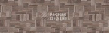 Линолеум Tarkett Bonus DUOMO 3 фото 1 | FLOORDEALER